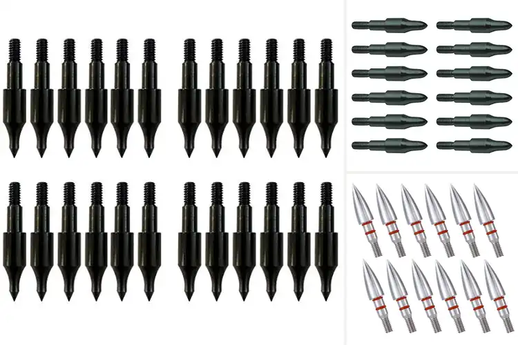 Detailed view of Best Archery Training Points