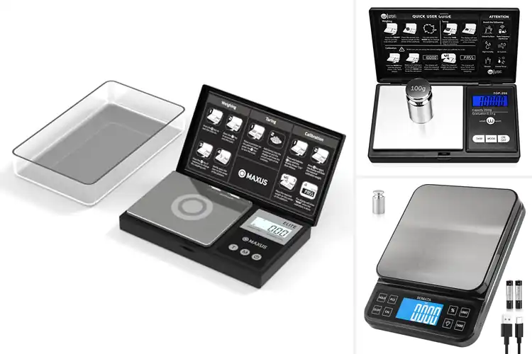 Detailed view of Best High Precision Scales
