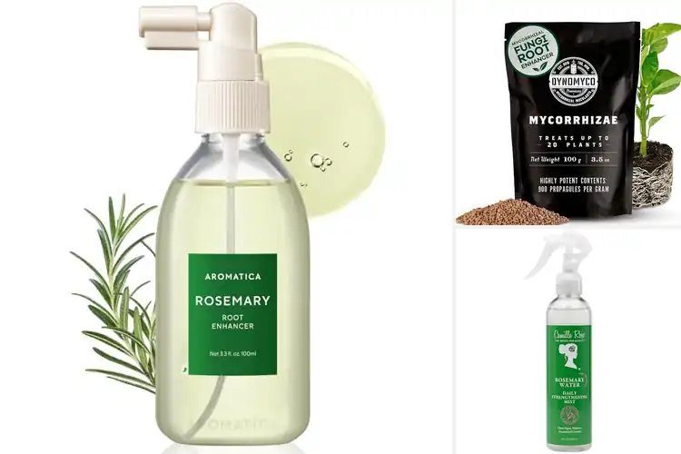 Detailed view of Best Root Strengthener: Top 10 Picks for Growth & Vitality