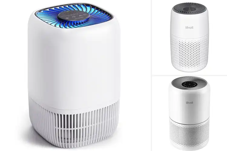 Detailed view of Best Smoke Air Purifiers