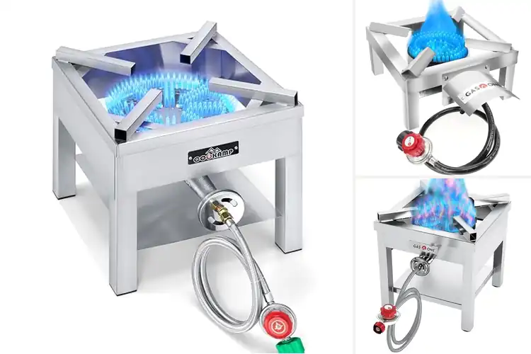 Detailed view of Best Stainless Steel Burners